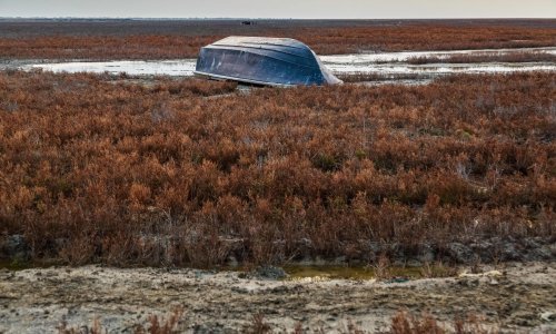Predsjednik Azerbajdžana Putinu ukazao na katastrofalno stanje Kaspijskog jezera