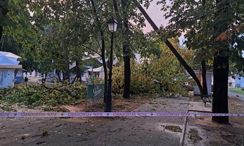 Nevrijeme poharalo Bjelovar, orkanski vjetar čupao stabla, dijelovi grada pod vodom