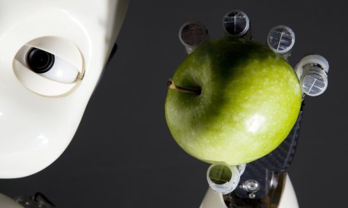 Kako bi stvorio novi iPhone, Apple se okreće robotima za domaćinstvo?