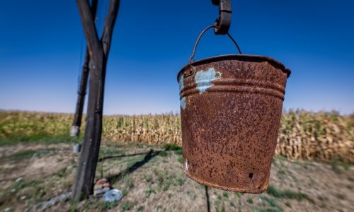 Velike štete zbog suše: U dijelu Hrvatske proglašena prirodna nepogoda