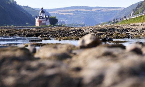 Rajna postala usko grlo za brodove; suša dramatično snizila vodostaj