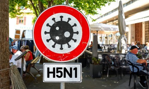 U Meksiku otkrivena zaraza ptičjom gripom kod ljudi