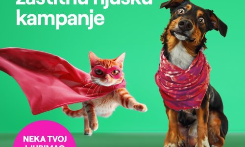 LAQO traži zaštitne njuške za kampanju osiguranja kućnih ljubimaca