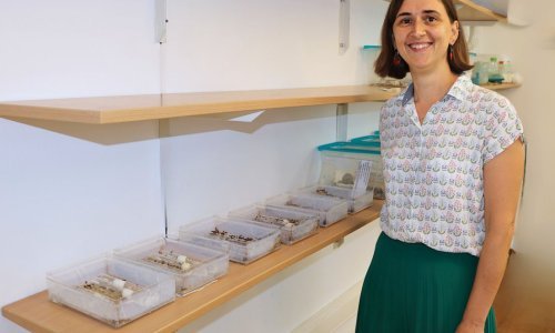 Ruđerovci u Belgiji predstavljaju svoje istraživanje mrava u kontekstu klimatskih promjena