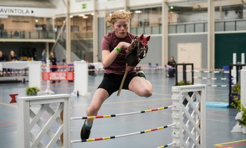 Mladi se pomamili za jednim od najneobičnijih hobija na svijetu: Što je to 'hobby horse'