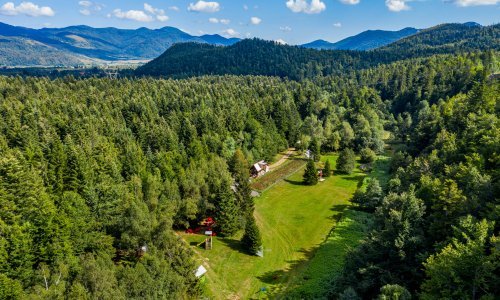 Medun je goranski superfood: Najslađi doživljaj za sva osjetila u srcu Gorskog kotara