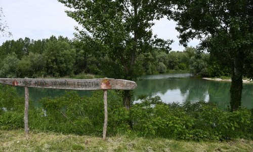 Kreće obračun s invazivnim vrstama; evo što će se raditi uz Dravu