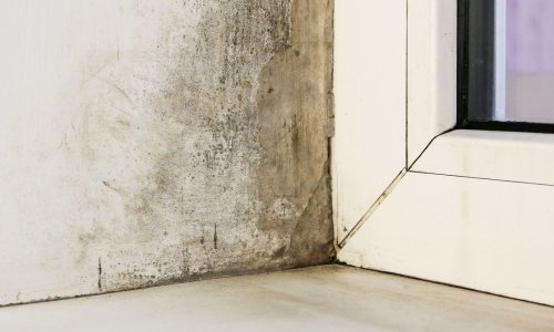 Kreću muke s vlagom i plijesni: Ovako ćete ih riješiti zauvijek i smanjiti troškove