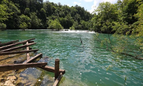 Policija tragala za migrantima, oni skočili u Mrežnicu, jedan zapeo za drvo