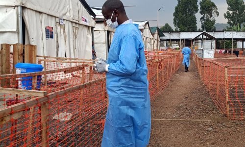 WHO odobrio prvo cjepivo protiv majmunskih boginja