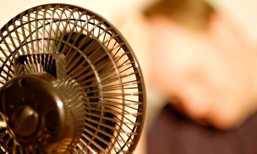 Nova studija otkrila vezu između toplinskih valova i jedne od najstrašnijih bolesti