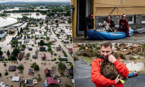 Poplave poharale Europu, u Hrvatsku dolazi povijesni vodostaj Dunava