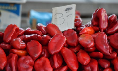 Podravka otkupila paprike i šljive iz najvećeg sela vojvođanskih Hrvata