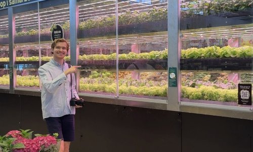 Lanac supermarketa okrenuo novu stranicu: Povrće uzgaja u trgovinama