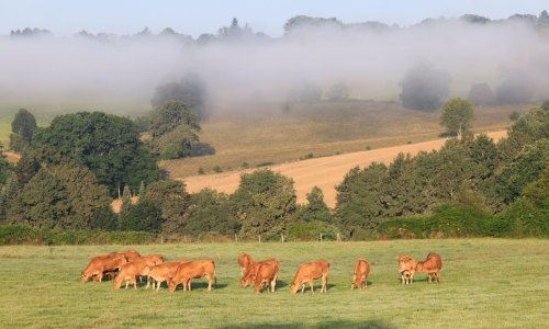 Rekordno brzo raste jedan staklenički plin, oko toga se još nešto i može napraviti