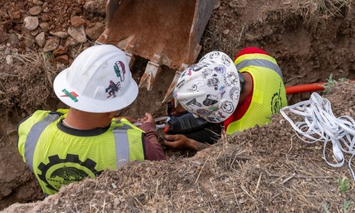 Njemačka u panici: Hrane se kabelima, 'gase' internet, a ima ih na milijune