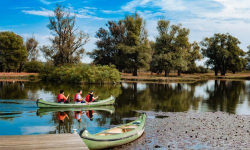 Otkrijte jesensku čaroliju: Lonjsko polje i kulturna baština Sisačko-moslavačke
