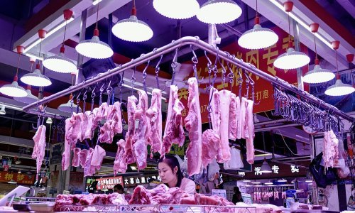 Nova studija potvrdila teoriju? Pojavili su se novi dokazi s tržnice u Wuhanu