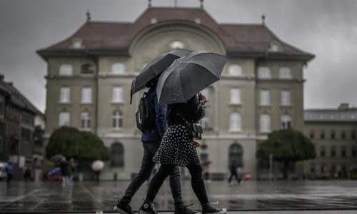 Švicarci na referendumu o bioraznolikosti, evo što su zaokružili