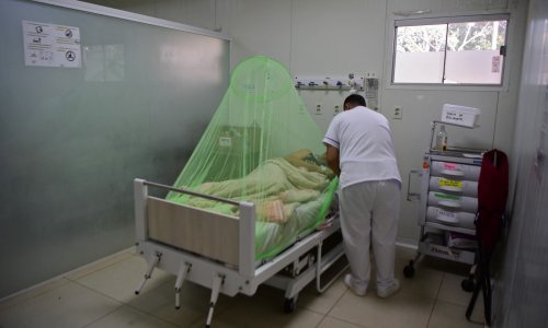 U New Yorku upisana prva smrt od smrtonosnog virusa koji prenose komarci