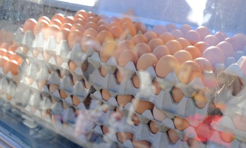 Cijene jaja pale, ali i dalje visoke: Hrvatska treća najskuplja u Europi