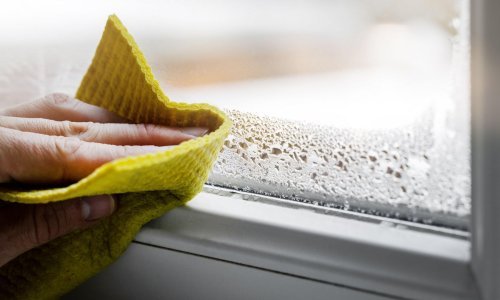 Nema više vlage ni plijesni! Isprobajte ovu jednostavnu metodu koja stvarno djeluje