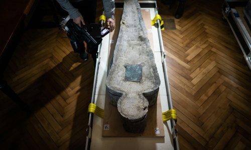 Napokon se zna tko je pokopan u sarkofagu otkrivenom u izgorjelom Notre Dameu