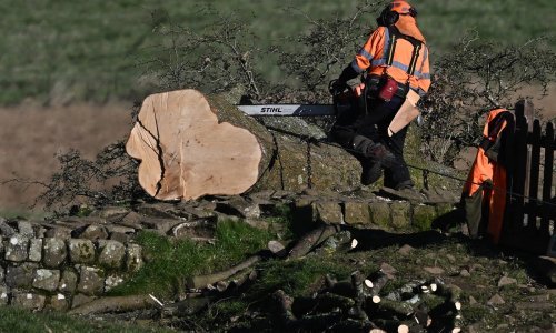 Odgođen Zakon o krčenju šuma: 'Von der Leyen je mogla sama uzeti motornu pilu'