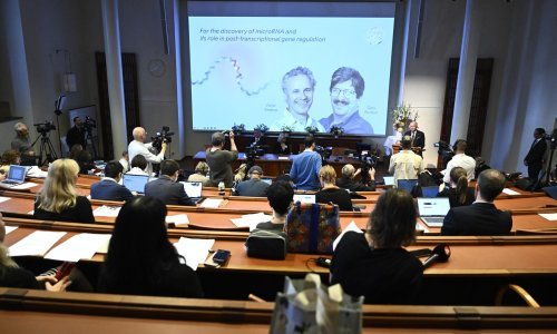 Nobelova nagrada za medicinu američkim znanstvenicima za otkriće mikroRNK molekule