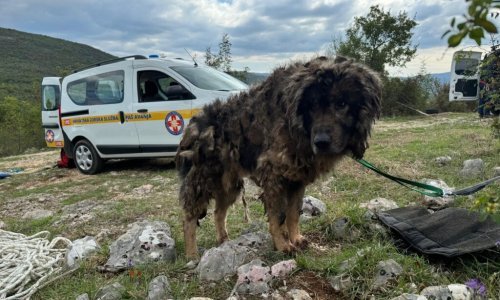 HGSS okončao potragu: Pronašli su mrtvog muškarca