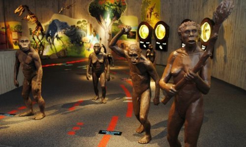 Krapinski neandertalci vrijedna su europska baština