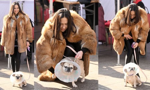 Na tramvajskoj stanici: Borni Kotromanić je netko ukrao psa, moli za pomoć