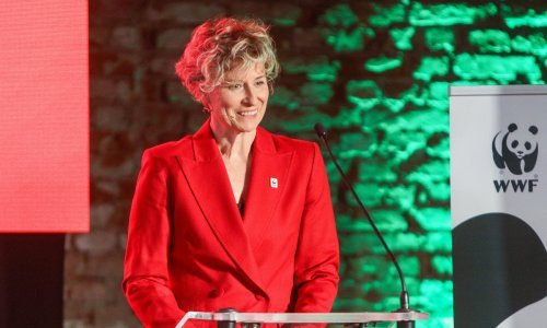 Ovakvu je još nismo vidjeli: Dunja Mazzocco Drvar pokazala novu frizuru