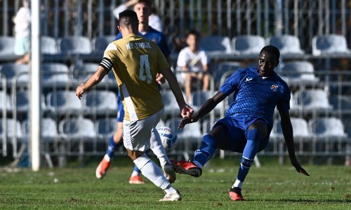 Bjelica o novom igraču: Vrlo je interesantan