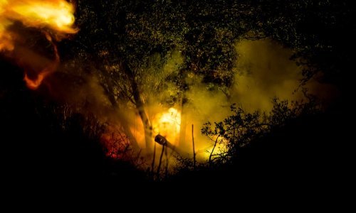 Rusi zauzeli 4 grada, pojavila se priča o predaji Ukrajine: Oglasio se Zelenski