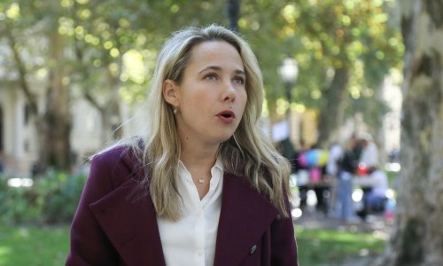 Selak Raspudić: S jedne strane imamo poziv na puč, a s druge estradizaciju vojske