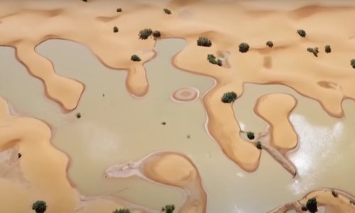 Pustinja Sahara poplavljena prvi put nakon nekoliko desetljeća: Jezera prekrila dine