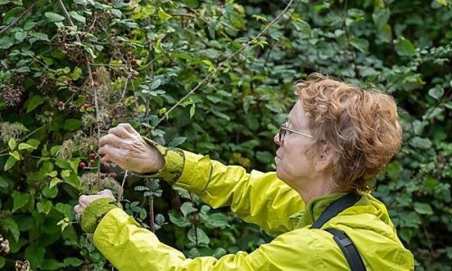 Moguće je biti umirovljenik i poljoprivrednik: O ovome treba voditi računa