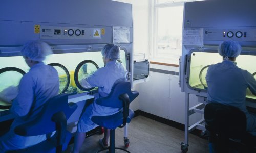 Novi režim liječenja opake bolesti koja pogađa žene mogao bi spasiti mnoge živote