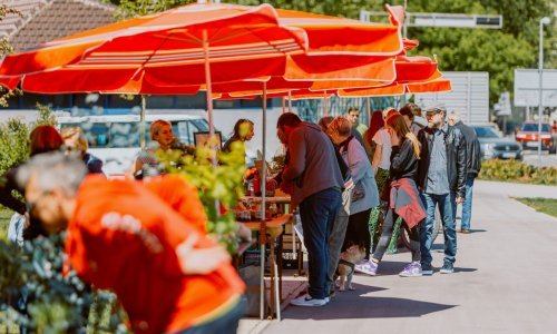 Dođite na Britanac; moći će se razmijeniti biljke u sklopu Plant Marketa
