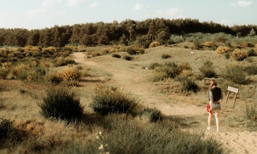 Deve, pijesak i pustinja: Na sat i pol od Zagreba nalazi se 'hrvatska Sahara'