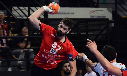 Rukometaša Vardara izgrizli psi; klub je podijelio detalje napada