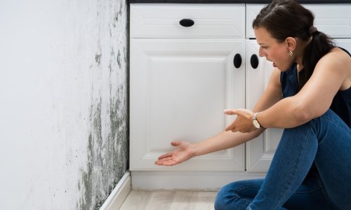 Zbogom plijesni i vlazi, mi imamo rješenje!