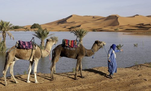Nevjerojatne snimke; poplave u Sahari nakon pola stoljeća, ima i žrtava