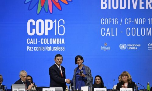 Samit o bioraznolikosti: Svijet kaska za ciljevima, riba se izlovlja, šume se više sijeku