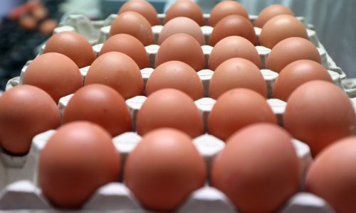 Kupci, oprez: Iz prodaje se povlače ova jaja