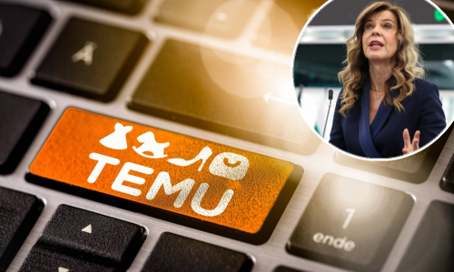 Borzan otkrila koje proizvode s Temua kupci najčešće prijavljuju