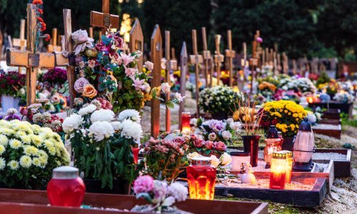 Cvjećari: 'Na cijene utječu klimatske promjene i rast ulaznih troškova'