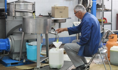 Masline su rodile, ali ulja je manje: Matematika ne ide na ruku gurmanima