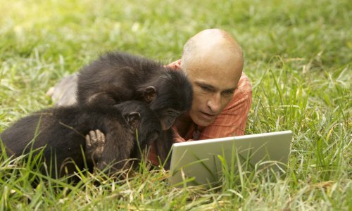 Veliko razočarenje: Majmuni ipak ne mogu napisati Shakespearea